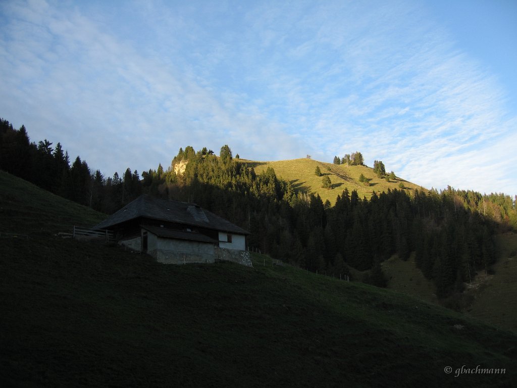 20081026_297